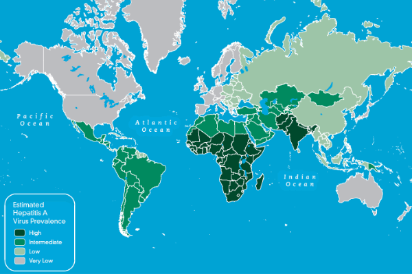 A型肝炎の流行国マップ